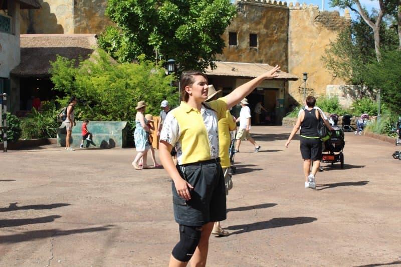 Festival of the Lion King