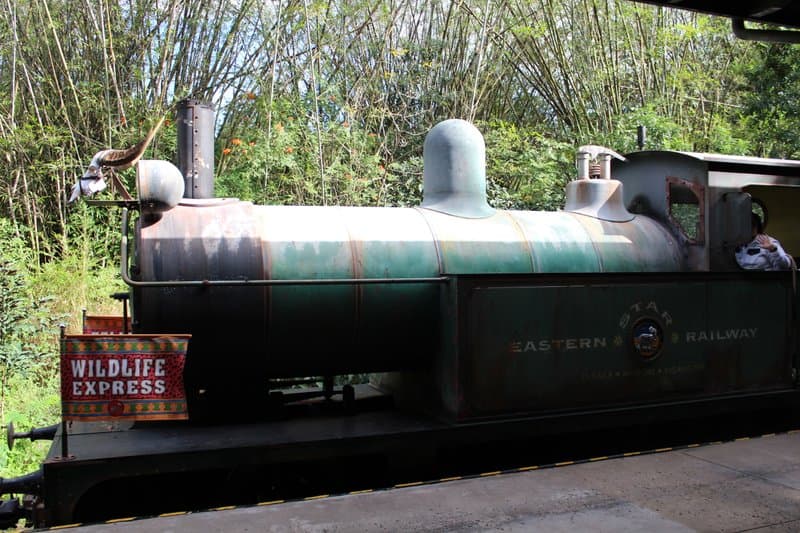 Wildlife Express Train