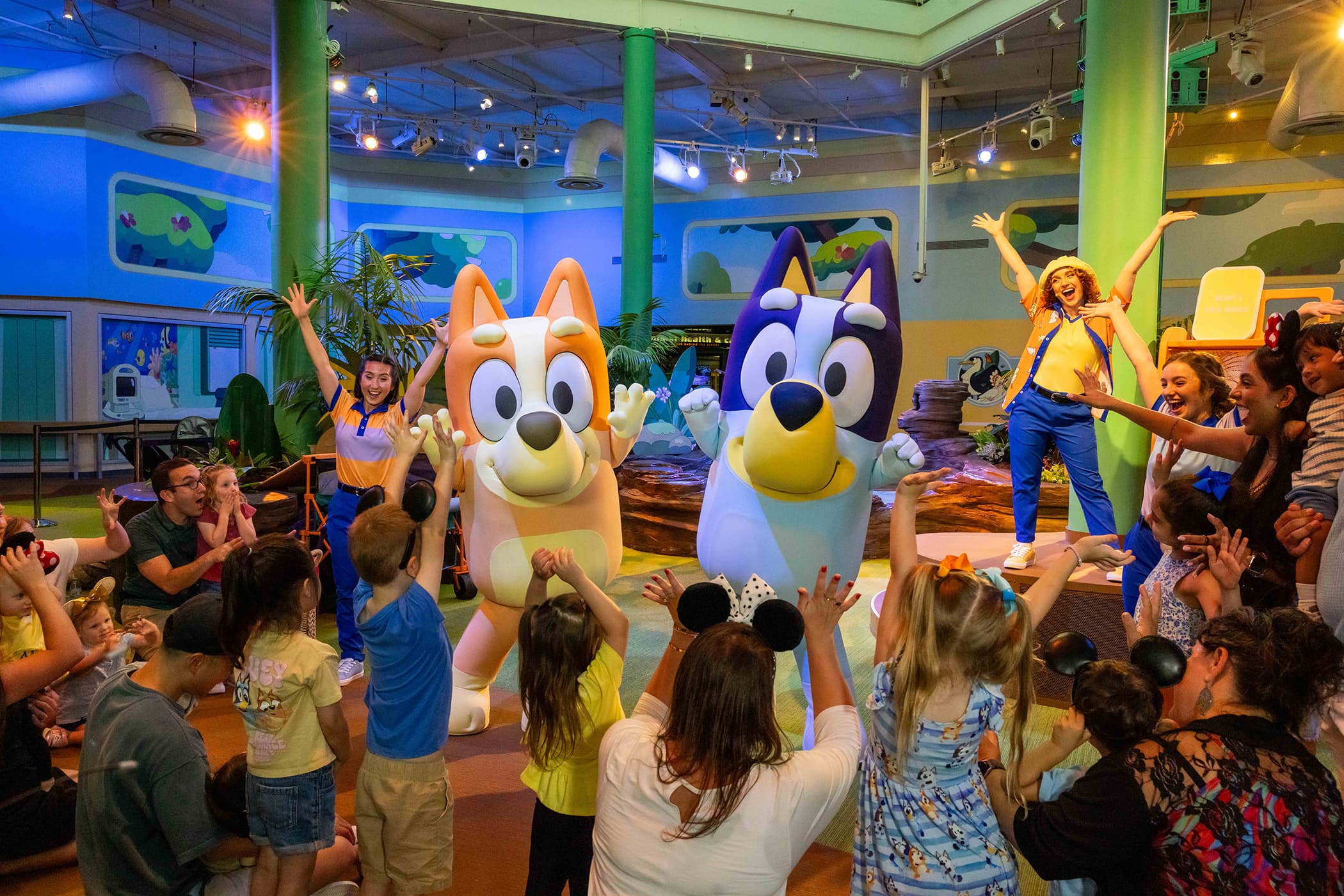 Bluey's Wild World