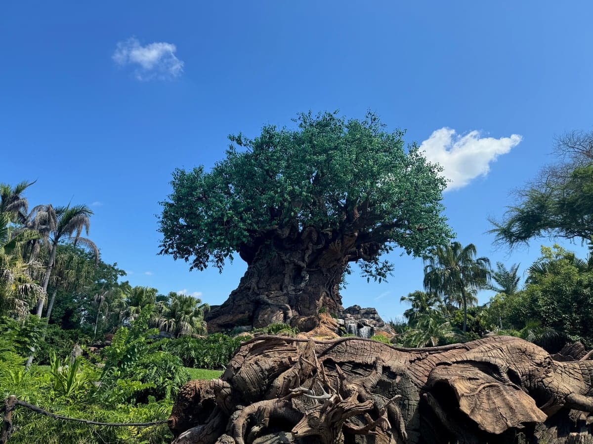 Tree of Life