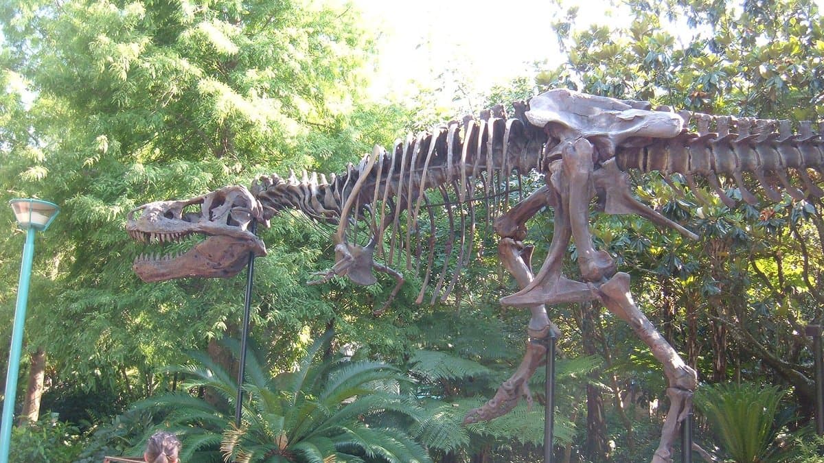 A towering T-Rex dinosaur skeleton stands amid dense tropical ferns and prehistoric foliage outside T-REX restaurant at Disney Springs, its jaws open wide toward the treetops against a bright sky.