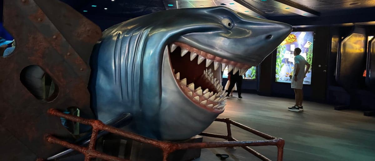 Bruce's Shark World