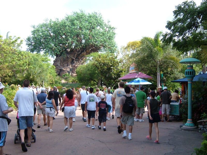Tree of Life