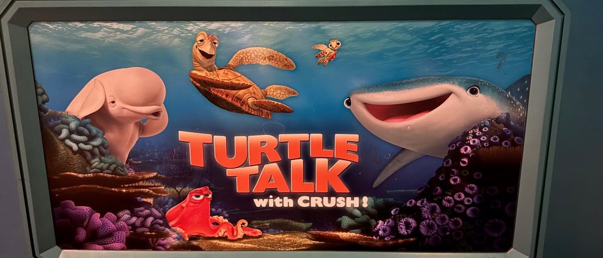 Turtle Talk With Crush
