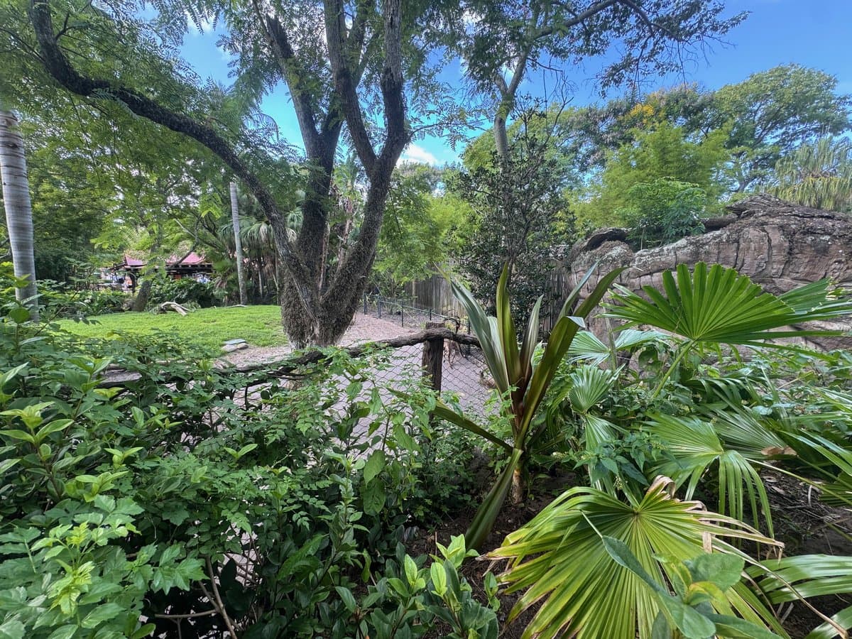 Discovery Island Trails