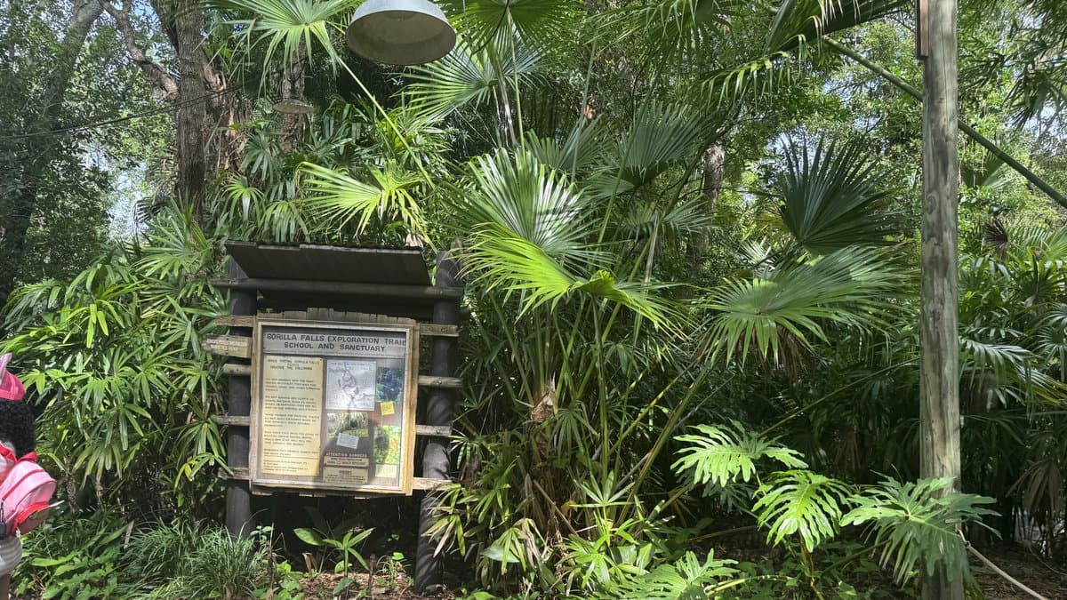 Gorilla Falls Exploration Trail