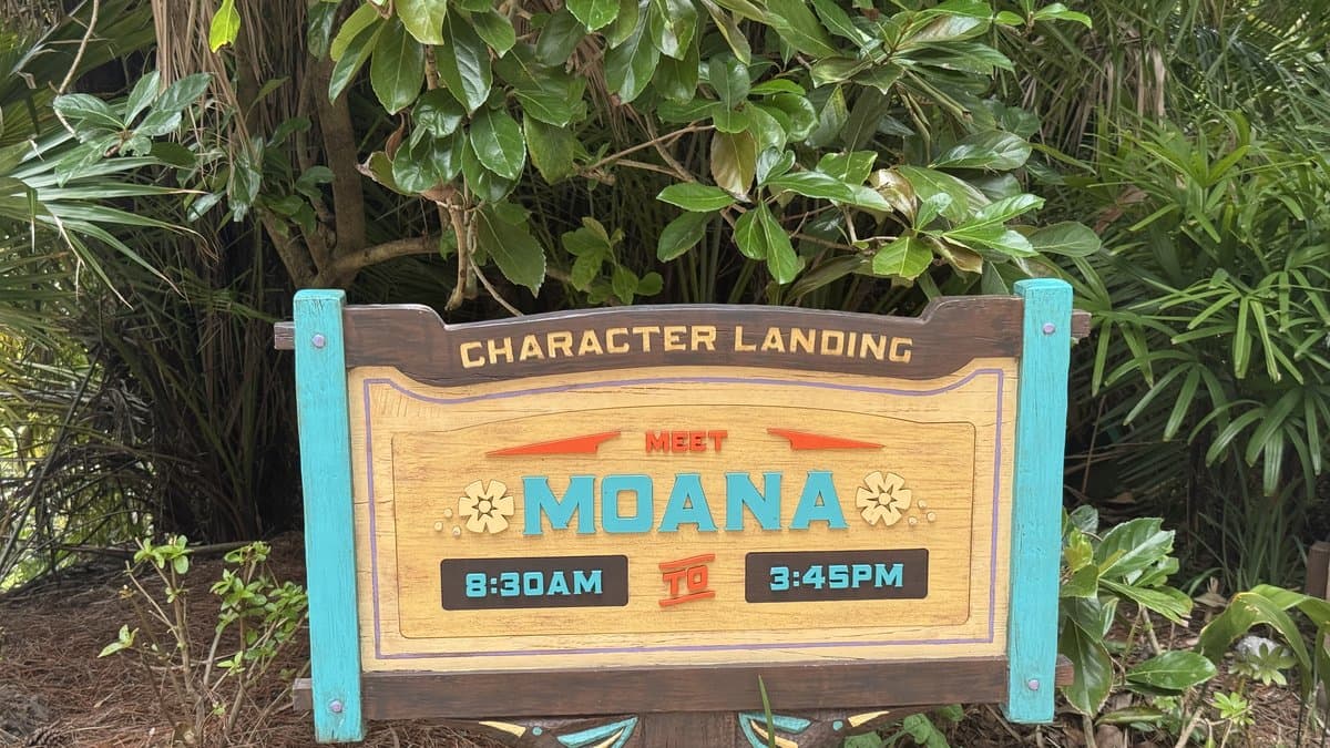 Meet Moana at Character Landing