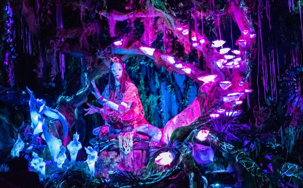 Na'vi River Journey