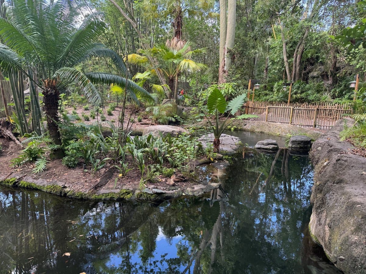 The Oasis Exhibits