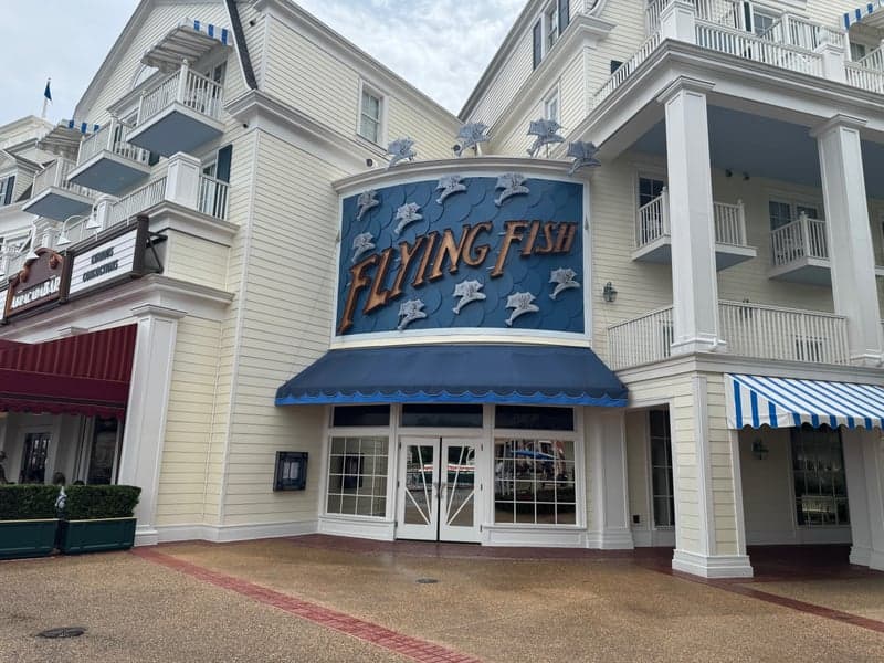 Flying Fish